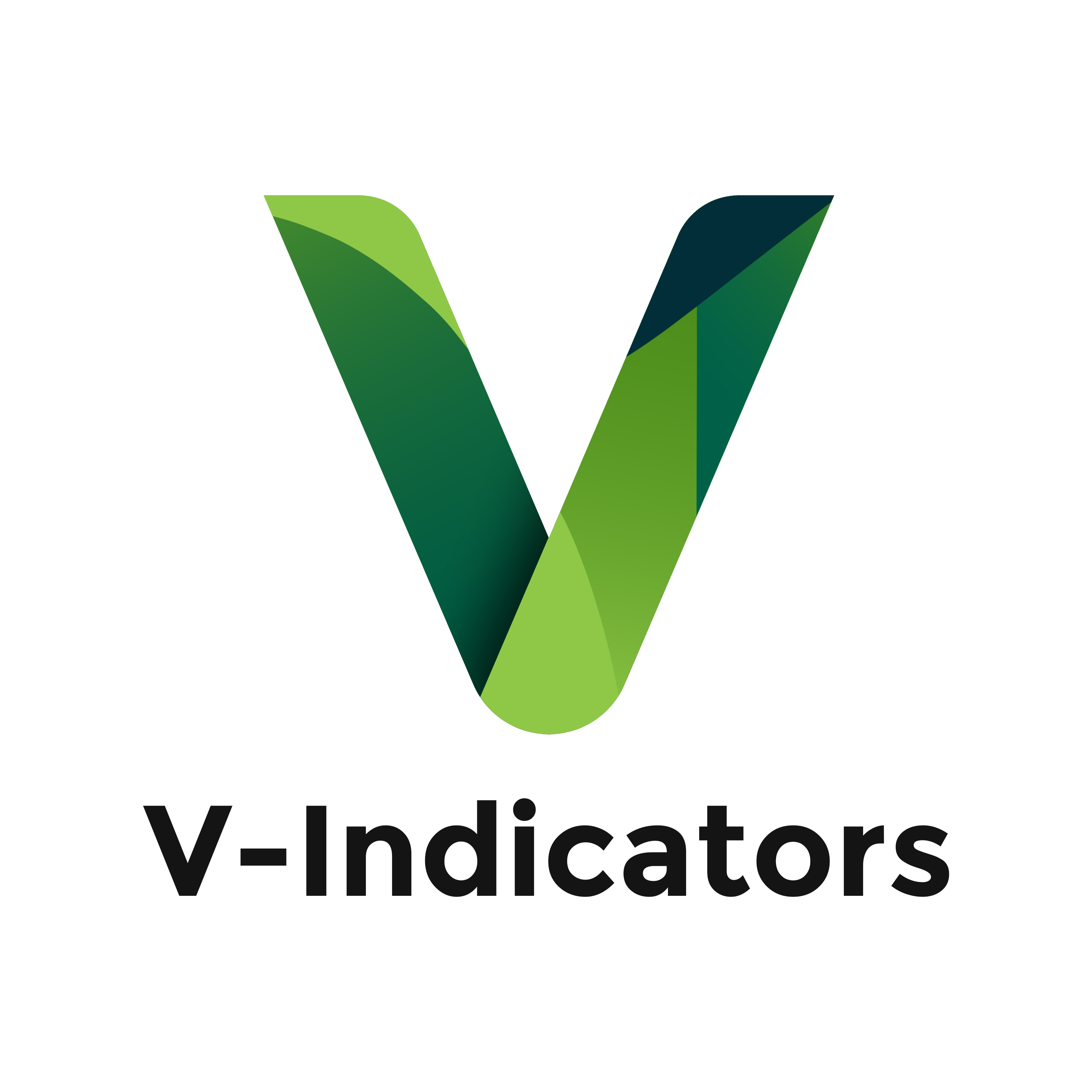 V-INDICATORS